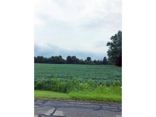 Kosciusko County, Indiana farmland - REAL ESTATE AUCTION - 91+/- ACRES IN 4 TRACTS IN KOSCIUSKO COUNTY, INDIANA